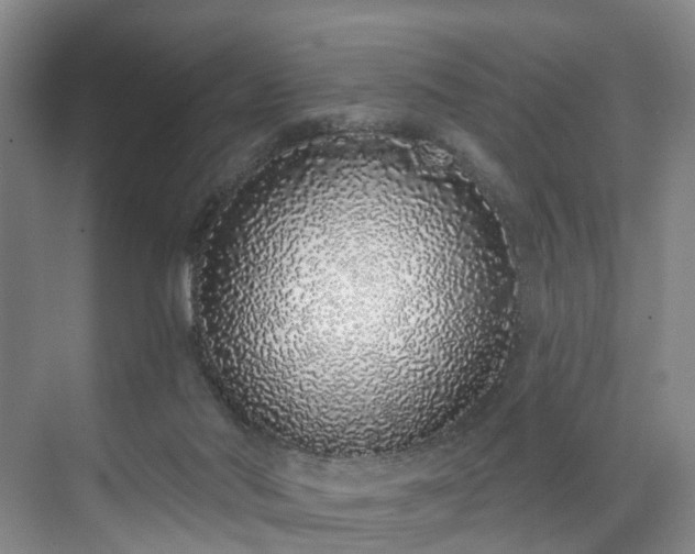 X0000071770022200607071313