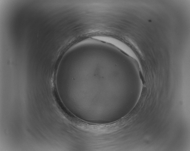 X0000071770023200607071313