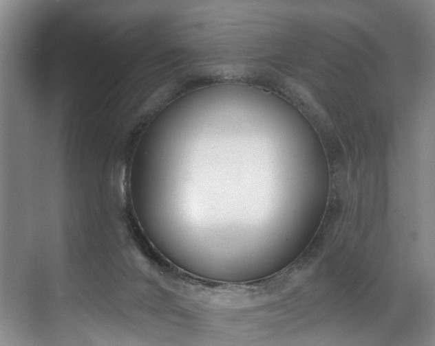 X0000071770024200607071313