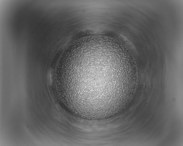 X0000071770026200607071313