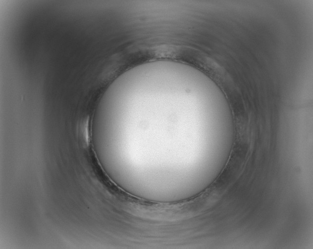 X0000071770028200607071313