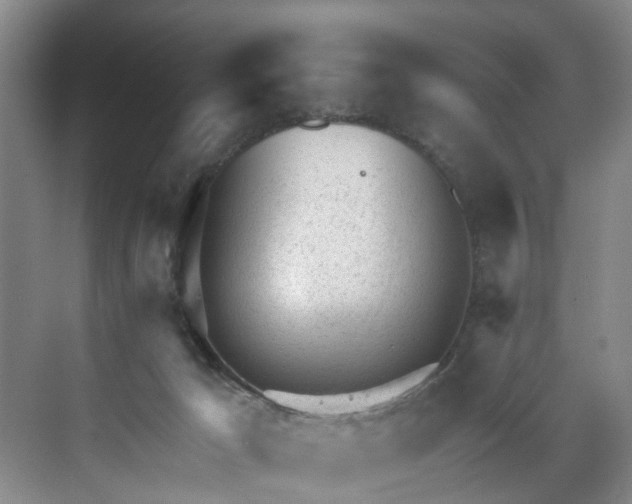 X0000071770029200607071313