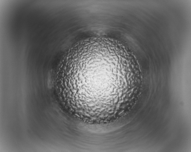 X0000071770030200607071313