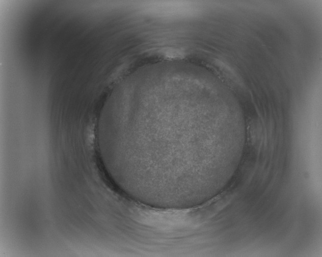 X0000071770032200607071313