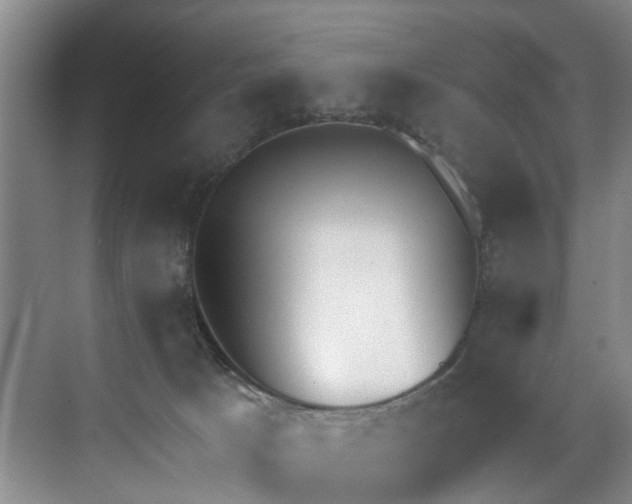 X0000071770033200607071313