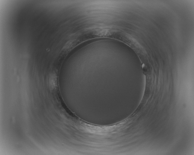 X0000071770035200607071313