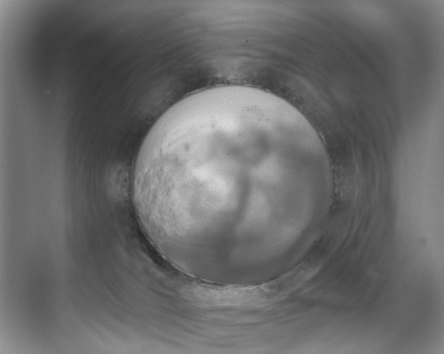 X0000071770036200607071313