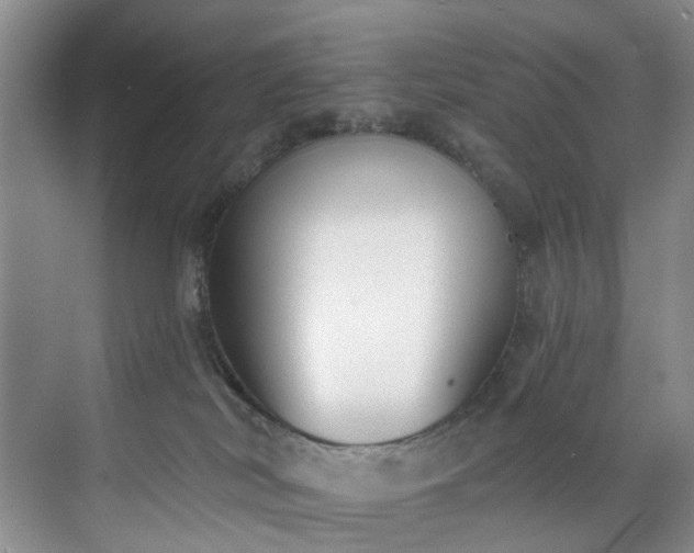 X0000071770038200607071313