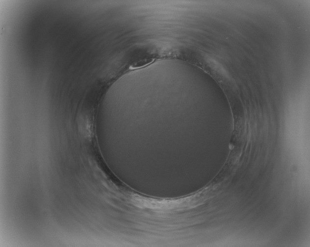 X0000071770039200607071313