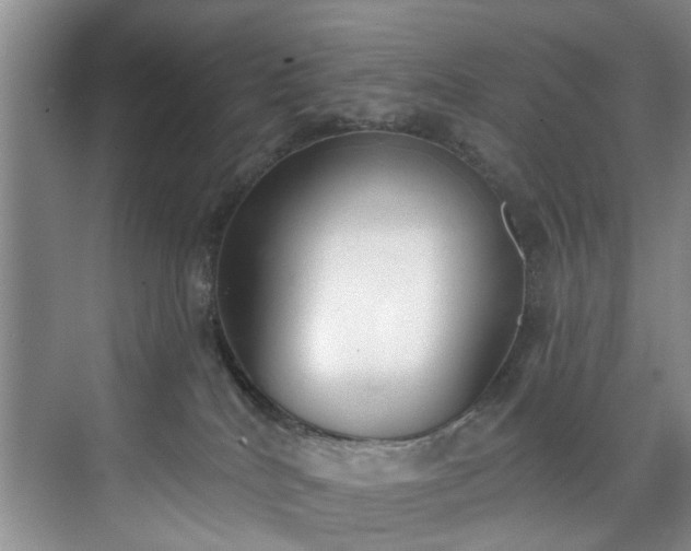 X0000071770040200607071313