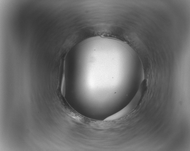 X0000071770041200607071313