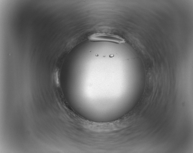 X0000071770042200607071313