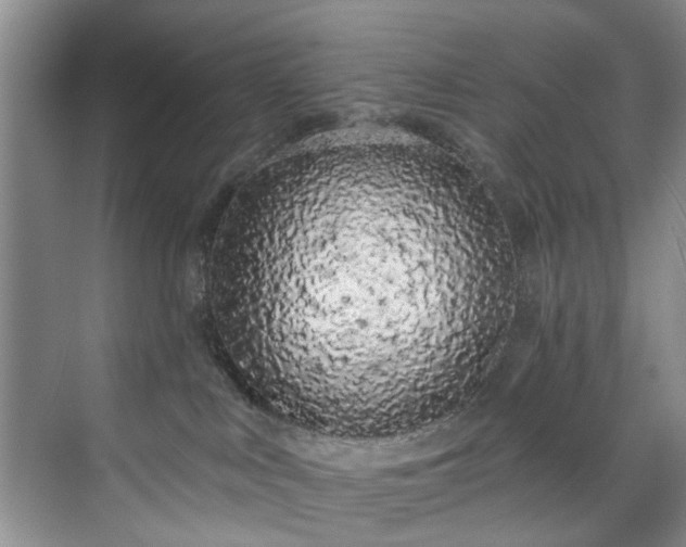 X0000071770043200607071313