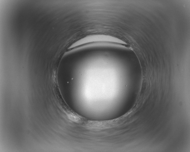 X0000071770045200607071313