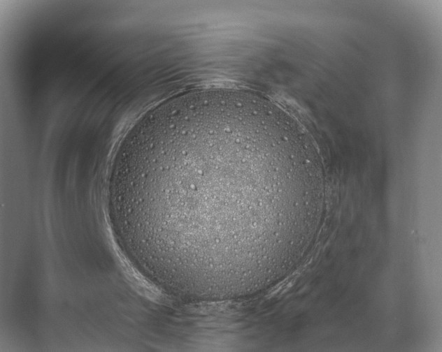 X0000071770049200607071312