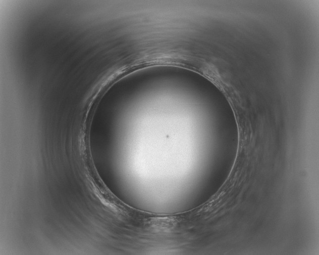 X0000071770050200607071312