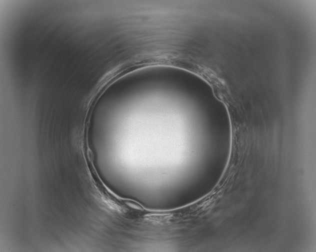 X0000071770051200607071312