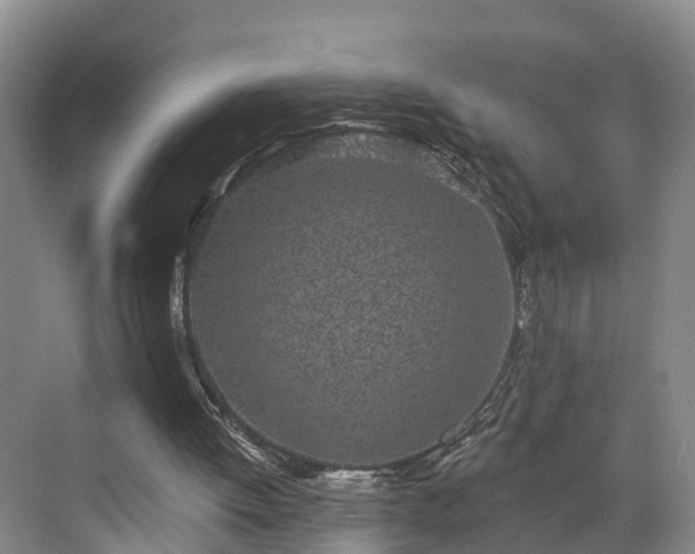 X0000071770052200607071312