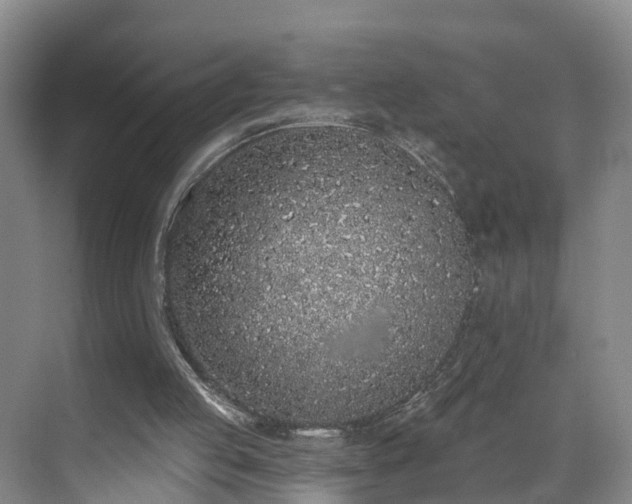 X0000071770053200607071312