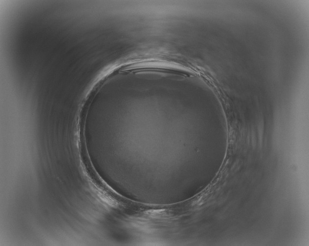 X0000071770054200607071312