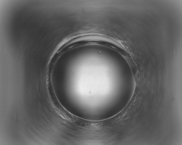 X0000071770056200607071312