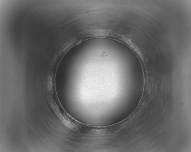 X0000071770057200607071312