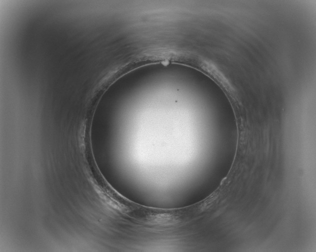 X0000071770058200607071312