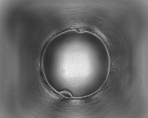 X0000071770059200607071312