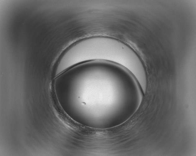 X0000071770060200607071312