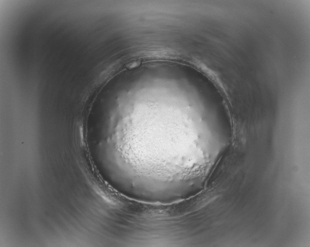 X0000071770061200607071312