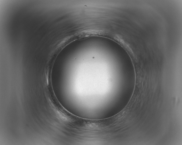 X0000071770062200607071312