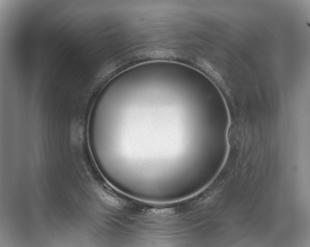 X0000071770063200607071312