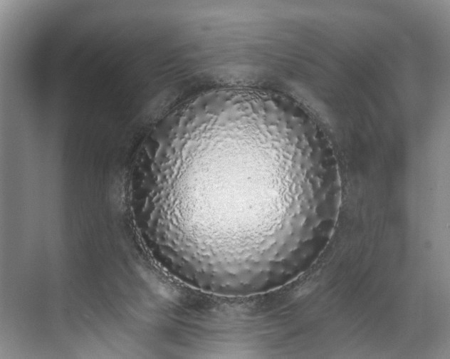 X0000071770065200607071312