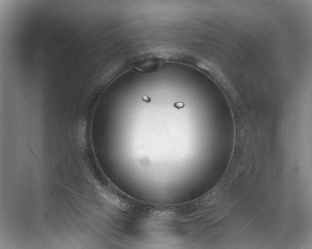 X0000071770066200607071312