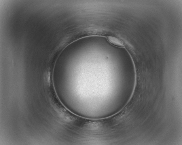 X0000071770067200607071312