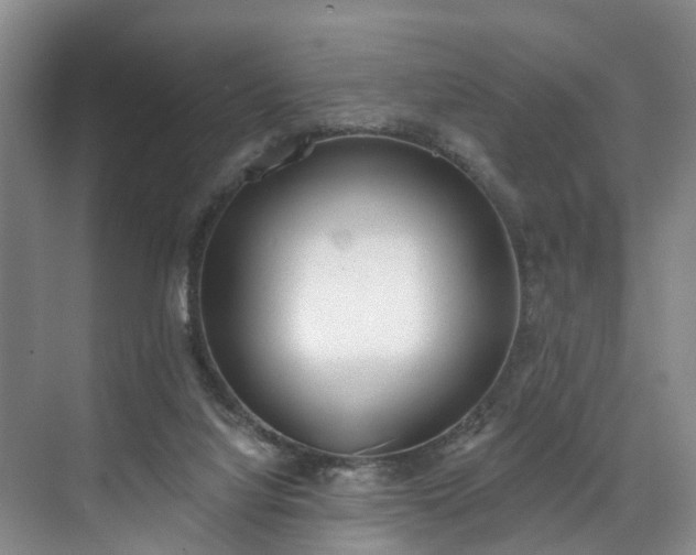 X0000071770068200607071312