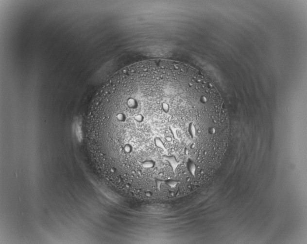 X0000071770069200607071312