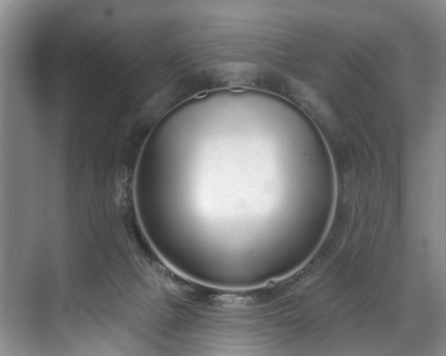 X0000071770073200607071312