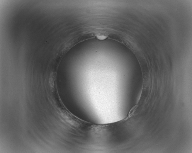 X0000071770078200607071312