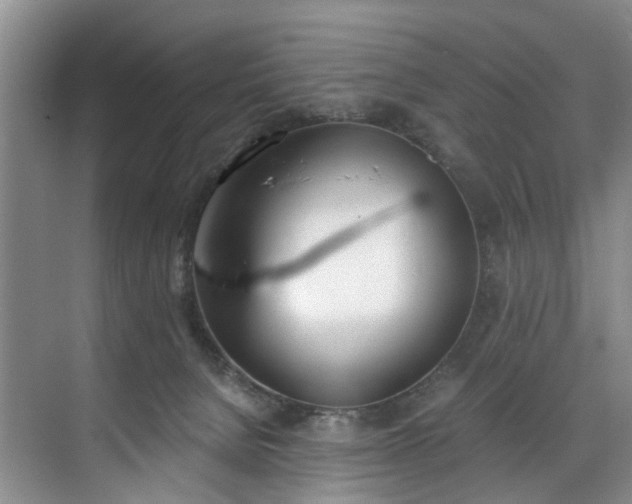 X0000071770080200607071312