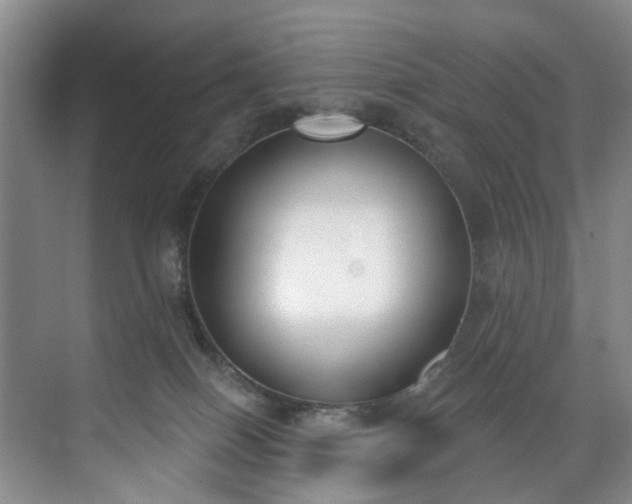 X0000071770086200607071313