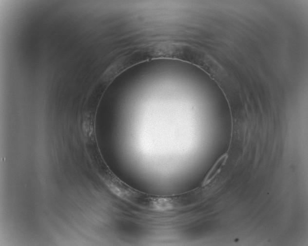 X0000071770091200607071313