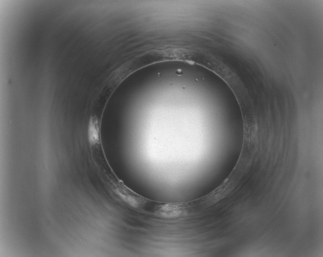 X0000071770095200607071313