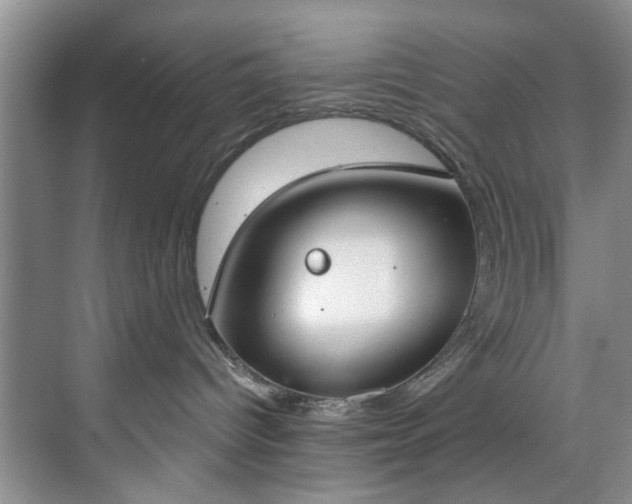 X0000071770096200607071313