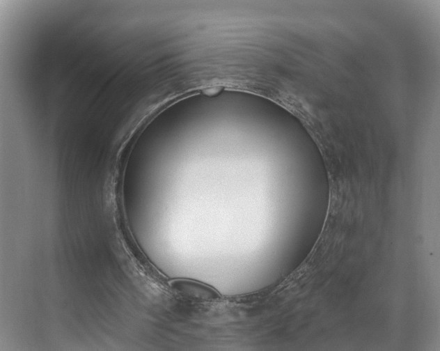 X0000071770098200607071312