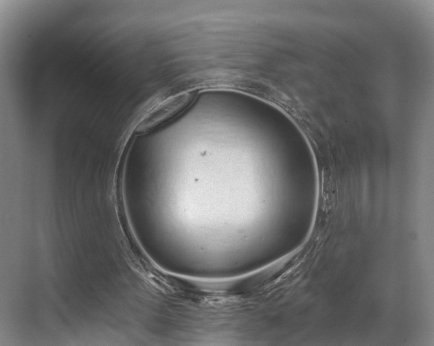 X0000071770099200607071312