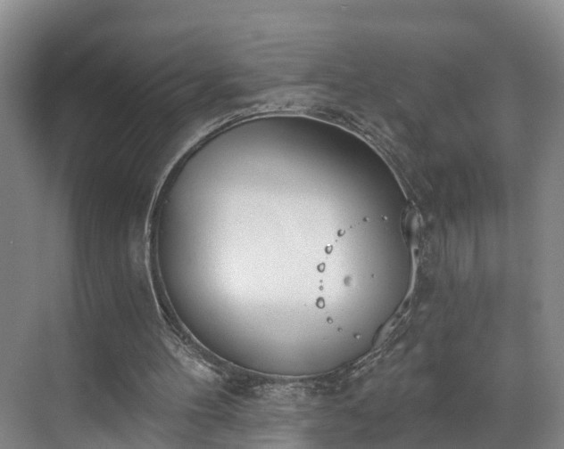 X0000071770100200607071312