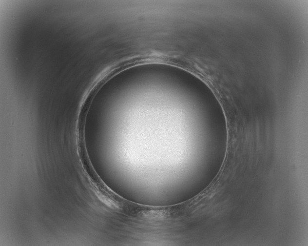 X0000071770102200607071312