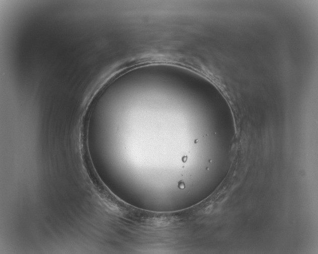 X0000071770103200607071312