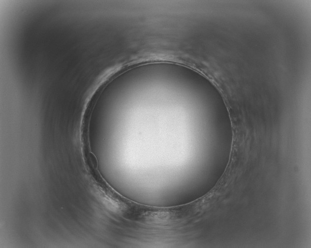 X0000071770104200607071312